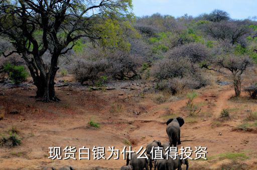 為什么投資白銀，我想問(wèn)下白銀是不是最好的投資