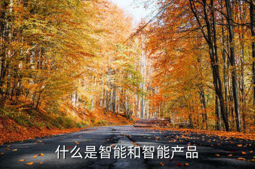 什么是智能產(chǎn)品，智能產(chǎn)品數(shù)碼產(chǎn)品電子產(chǎn)品它們有什么區(qū)別