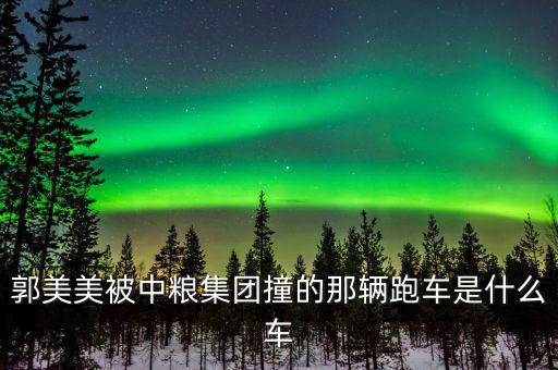 郭美美被中糧集團(tuán)撞的那輛跑車(chē)是什么車(chē)