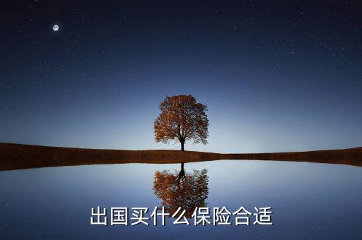 什么保險(xiǎn)長(zhǎng)期在國(guó)外有用，什么保險(xiǎn)有去國(guó)外玩的保障啊