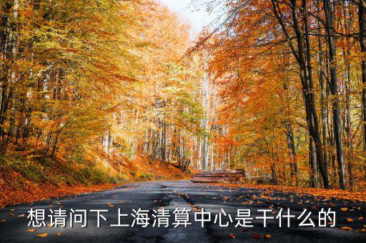上海清算所做什么，想請(qǐng)問(wèn)下上海清算中心是干什么的