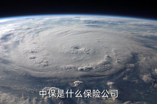 中保全家都保8 8折是什么保險(xiǎn)，中保是什么保險(xiǎn)公司