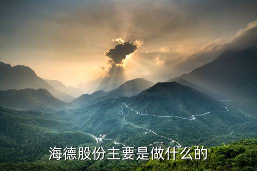 德力股份是干什么的，德國力斯集團以前主要是做什么的啊