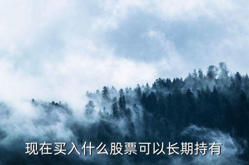 長期投資買什么股票，什么股票有長期投資價值