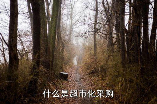 超市化采購(gòu)什么意思，什么是超市化采購(gòu)