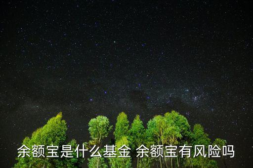 余額寶投資的是什么基金，余額寶是哪家基金管理公司