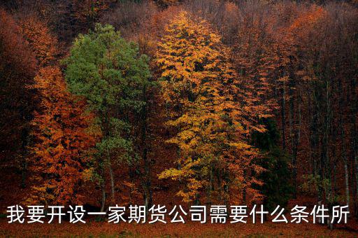 開證券期貨公司需要什么，我要開設(shè)一家期貨公司需要什么條件所