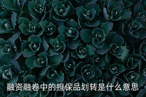 什么是劃轉(zhuǎn)，劃撥轉(zhuǎn)賬是什么意思