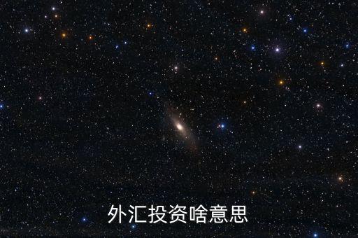 外匯融資是什么意思，外匯投資啥意思