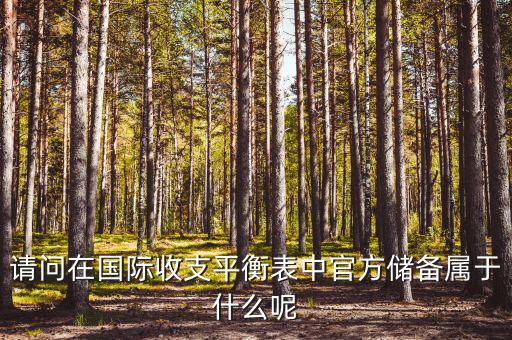 官方儲備資產(chǎn)包括什么，官方儲備資產(chǎn)包括固定資產(chǎn)嗎