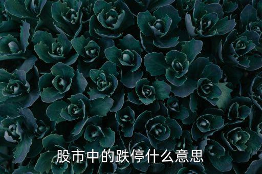 跌停是什么意思，跌停是什么意思