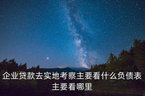 貸款實地考察做些什么，企業(yè)貸款去實地考察主要看什么負(fù)債表主要看哪里