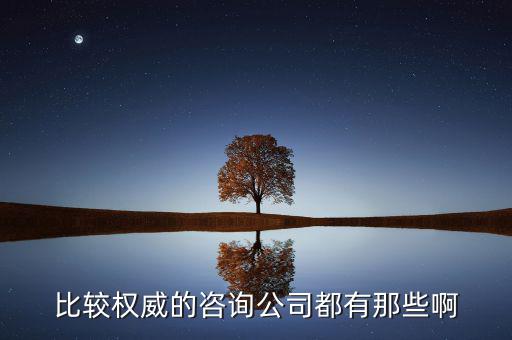 艾瑞和易觀是什么公司，易觀國際有幾個子公司