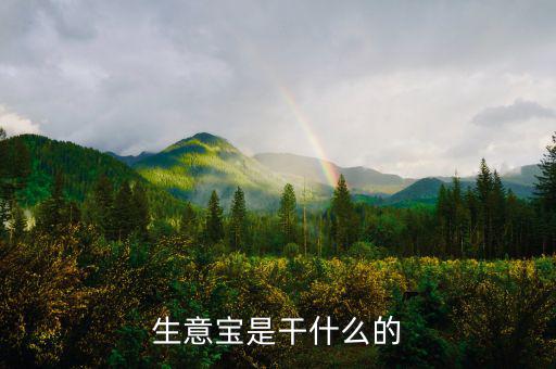 生意寶屬于什么版塊，生意寶聽(tīng)說(shuō)過(guò)嗎聽(tīng)說(shuō)能快速賺錢是真的假的