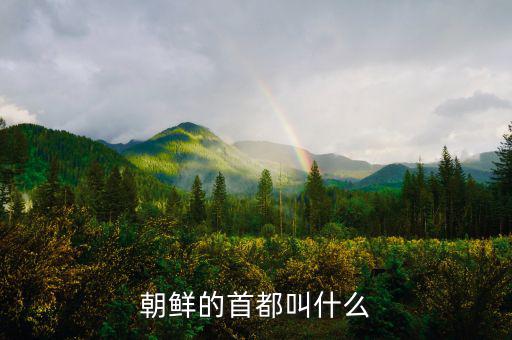 朝鮮總統(tǒng)府叫什么，朝鮮元首有專門的住所嗎有的話在哪