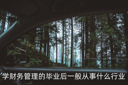 學(xué)財(cái)務(wù)管理的畢業(yè)后一般從事什么行業(yè)