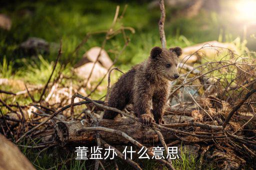 什么是董監(jiān)事會，董監(jiān)辦 什么意思