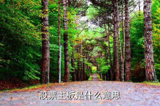 股市主板是什么，股市主板具體指什么