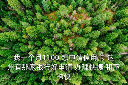 我一個月1100 想申請信用卡 達(dá)州有那家銀行好申請 辦理快捷 和下卡快