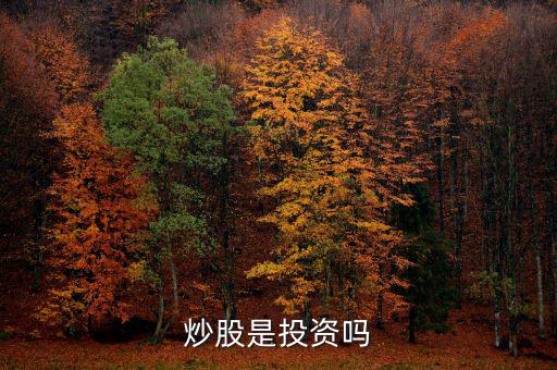 炒股算投資還是什么，炒股是投資嗎