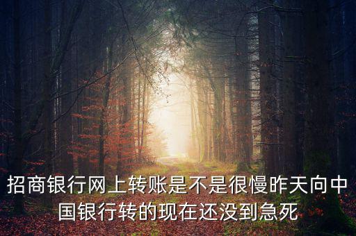 招商銀行網(wǎng)上轉賬是不是很慢昨天向中國銀行轉的現(xiàn)在還沒到急死