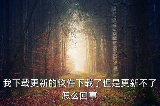 我下載更新的軟件下載了但是更新不了怎么回事