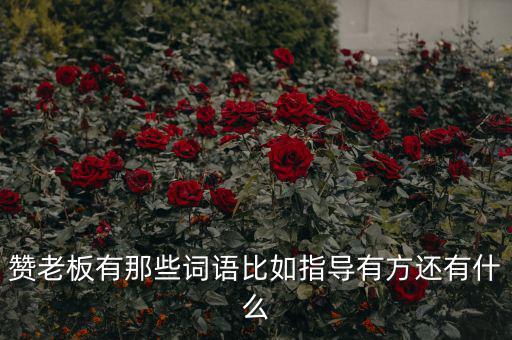 什么成語能夠形容房地產(chǎn)老板，贊老板有那些詞語比如指導(dǎo)有方還有什么