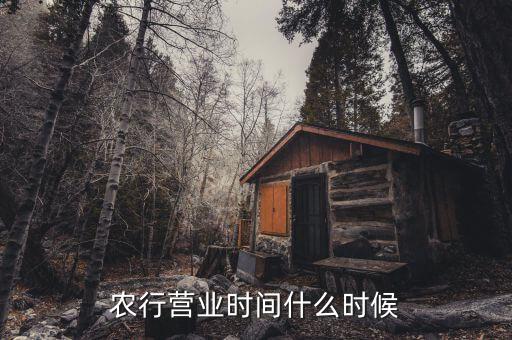 農(nóng)行什么時候上班，農(nóng)行上班時間