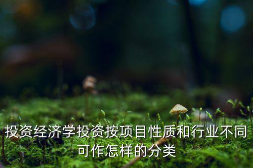 什么是公共消費(fèi)性投資，如何理解消費(fèi)投資