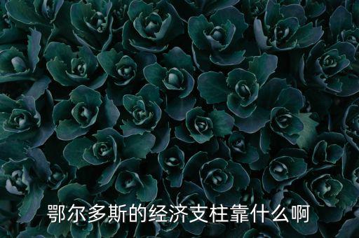 為什么鄂爾多斯經(jīng)濟(jì)發(fā)展，鄂爾多斯市是什么原因讓其發(fā)展如此迅猛