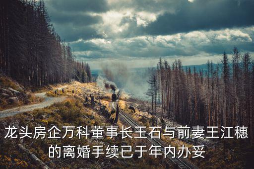王石什么時候離婚的，龍頭房企萬科董事長王石與前妻王江穗的離婚手續(xù)已于年內(nèi)辦妥