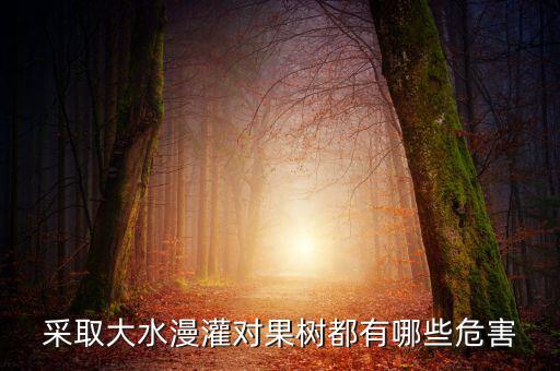 廣西地區(qū)大水漫灌導(dǎo)致什么，在干旱半干旱地區(qū)采取大水漫灌的灌溉方式可能會導(dǎo)致土地鹽漬化