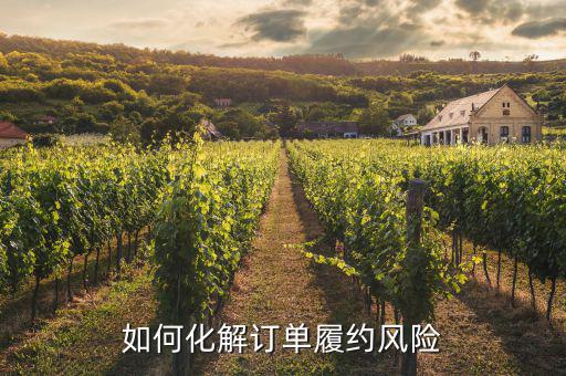 什么訂單執(zhí)行風(fēng)險(xiǎn)，淘寶訂單險(xiǎn)的問(wèn)題