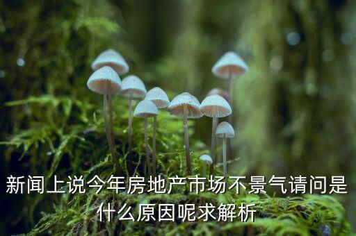 為什么房地產(chǎn)不景氣，新聞上說(shuō)今年房地產(chǎn)市場(chǎng)不景氣請(qǐng)問(wèn)是什么原因呢求解析