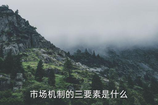 什么是市場(chǎng)三要素，構(gòu)成市場(chǎng)的三大要素是什么
