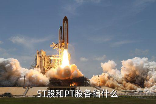 什么叫pt股，股票中PT股代表什么意思