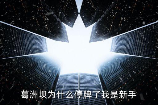 葛洲壩為什么停牌，葛洲壩為什么8月21日停牌