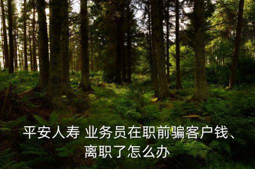  平安人壽 業(yè)務(wù)員在職前騙客戶錢、離職了怎么辦