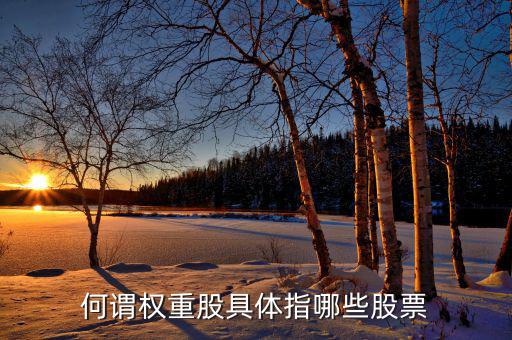 什么叫權(quán)重股，權(quán)重股與小盤股的區(qū)別在那兒我想數(shù)下有多少權(quán)重股有多少小盤股