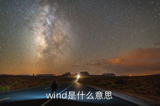 wind數(shù)據(jù)是什么，wind是什么意思