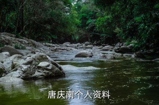 唐慶南為什么被逮捕，唐慶南被判刑