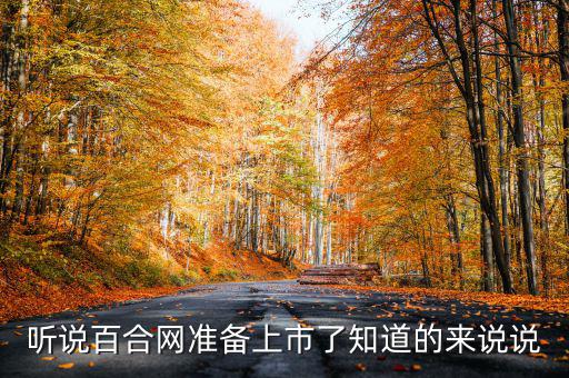 聽說百合網(wǎng)準(zhǔn)備上市了知道的來說說