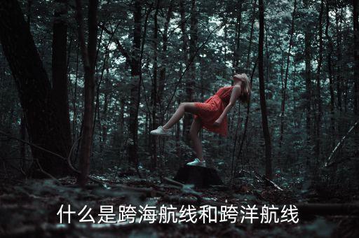 什么是跨海航線和跨洋航線