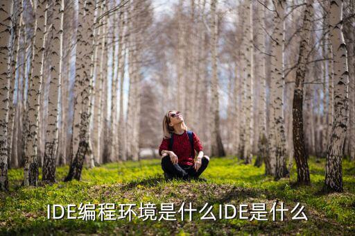 tltro是什么，虛擬內(nèi)存是什么玩意