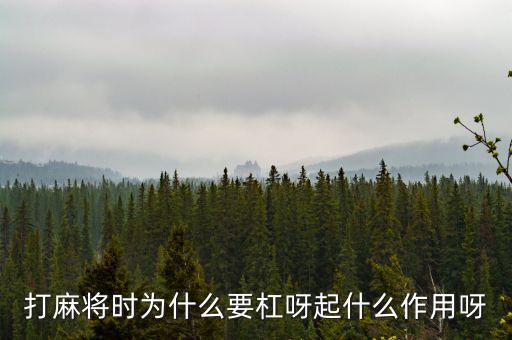 為什么要用杠桿，為什么有些杠桿要設(shè)計(jì)成費(fèi)力的呢
