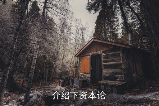 資本論是什么發(fā)表的，資本論 是馬克思寫的不