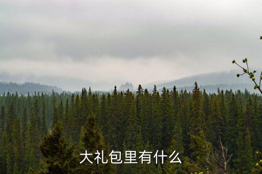 分期樂大禮包里有什么，大禮包里都有什么啊