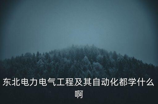 東北電力電氣工程及其自動化都學(xué)什么啊