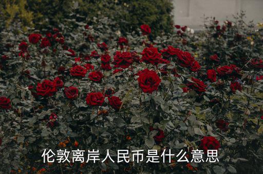 離岸人民幣是什么意思，在岸人民幣和離岸人民幣是什么意思