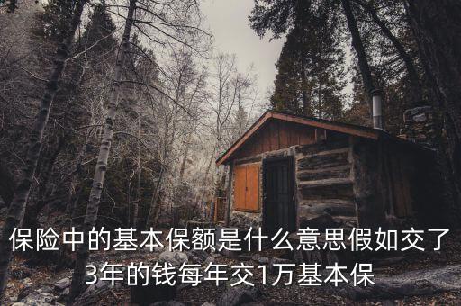 基本保額是什么意思，基本保險(xiǎn)金額是什么意思